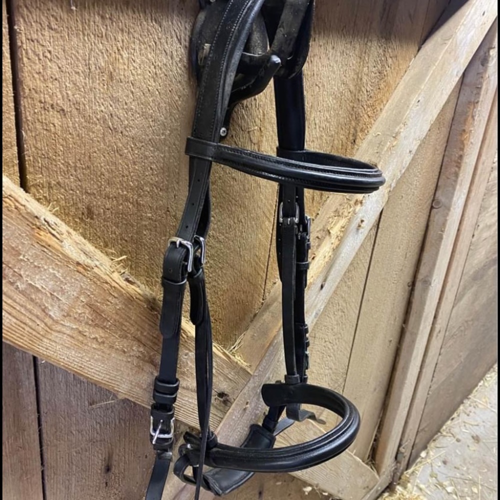 Bridle
